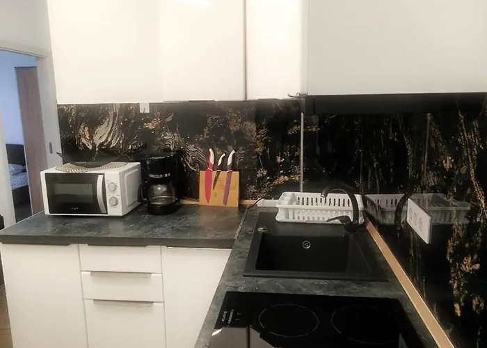 Rezerva Un Val D24 Ap Doua Dormitoare Si La Mare Navodari